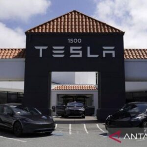 Musk sebut Samsung akan produksi chip AI6 Tesla di pabrik AS