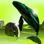 Whale Bitcoin Mungkin Mendorong Altcoin Season | Weekly Whale Watch