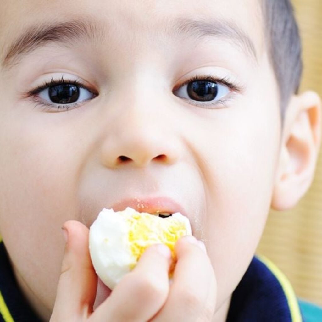 Konsumsi 1 Butir Telur Sehari Bisa Tingkatkan IQ Anak, Ini Penjelasan Ilmiahnya