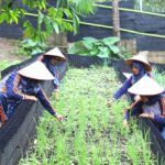 Program Hortikultura PGE Area Ulubelu Dorong Kesejahteraan Masyarakat