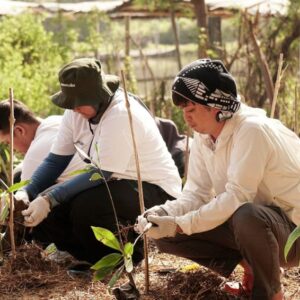 Berkontribusi untuk Alam, 10.000 Bibit Mangrove Ditanam Sambut HUT ke-10